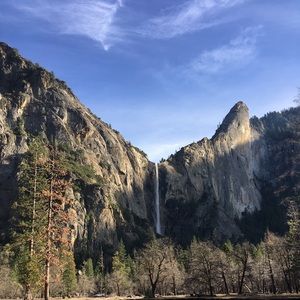 Meet your Posher, Ann